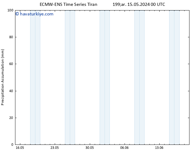 Toplam Yağış ALL TS Cu 31.05.2024 00 UTC