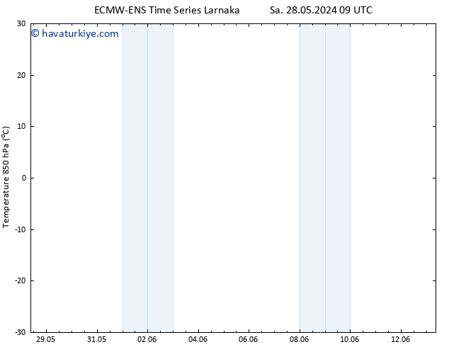 850 hPa Sıc. ALL TS Cu 31.05.2024 21 UTC