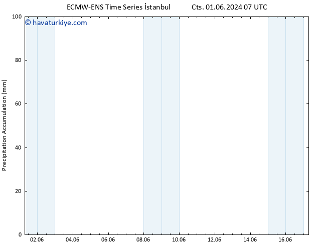 Toplam Yağış ALL TS Paz 09.06.2024 01 UTC