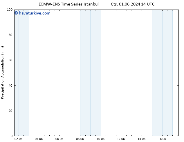 Toplam Yağış ALL TS Paz 02.06.2024 14 UTC