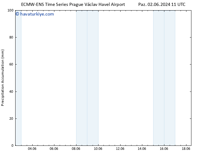 Toplam Yağış ALL TS Sa 18.06.2024 11 UTC