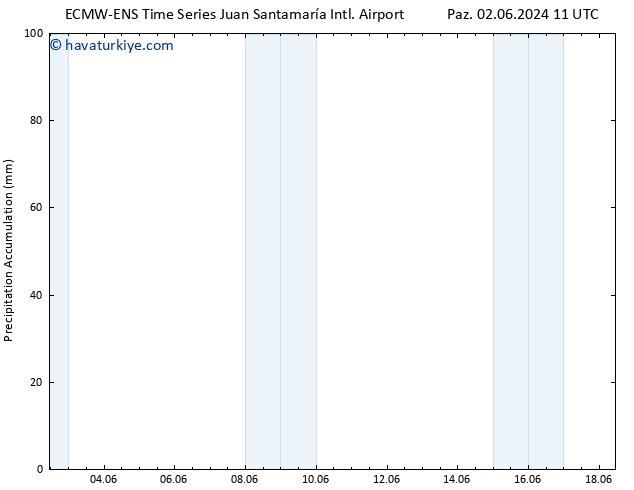 Toplam Yağış ALL TS Pzt 10.06.2024 23 UTC