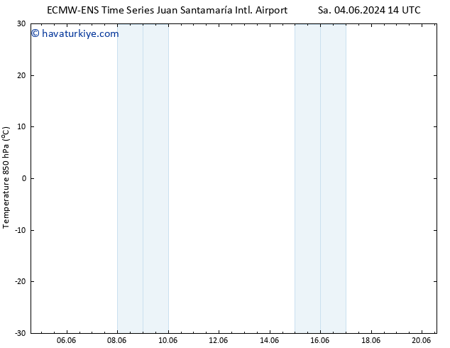 850 hPa Sıc. ALL TS Sa 04.06.2024 14 UTC