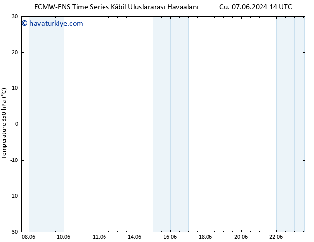 850 hPa Sıc. ALL TS Çar 12.06.2024 14 UTC