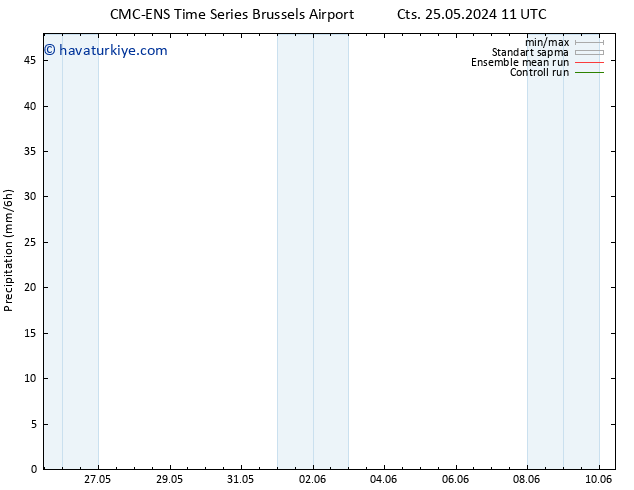 Yağış CMC TS Cu 31.05.2024 23 UTC