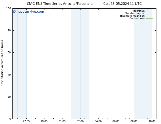 Toplam Yağış CMC TS Cts 01.06.2024 11 UTC