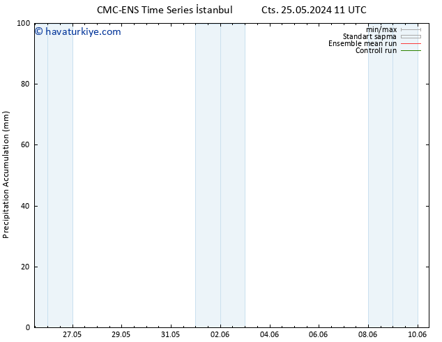 Toplam Yağış CMC TS Per 30.05.2024 11 UTC