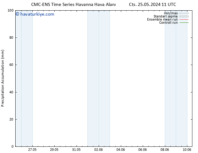 Toplam Yağış CMC TS Per 30.05.2024 11 UTC