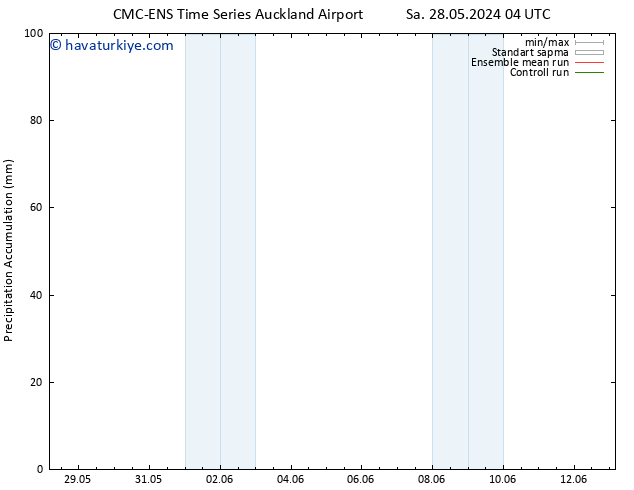 Toplam Yağış CMC TS Cts 01.06.2024 04 UTC
