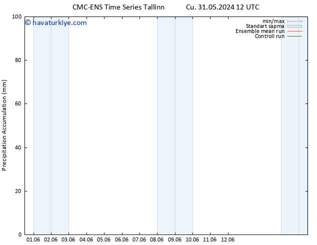 Toplam Yağış CMC TS Cu 31.05.2024 12 UTC