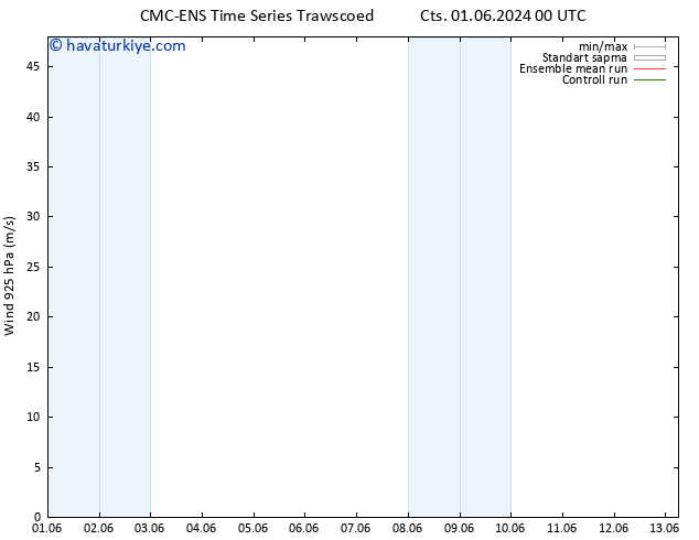 Rüzgar 925 hPa CMC TS Çar 05.06.2024 18 UTC