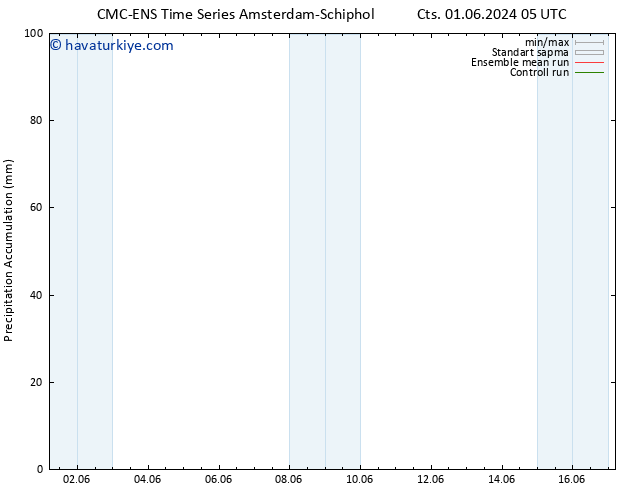 Toplam Yağış CMC TS Cts 01.06.2024 17 UTC