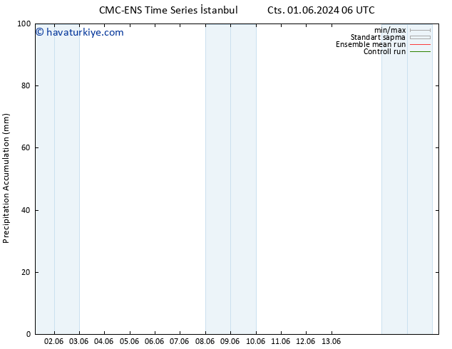 Toplam Yağış CMC TS Pzt 10.06.2024 18 UTC
