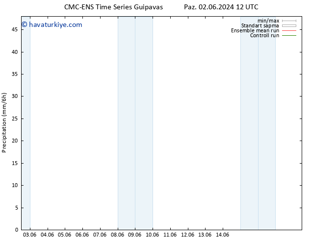 Yağış CMC TS Pzt 10.06.2024 12 UTC