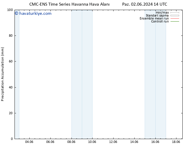 Toplam Yağış CMC TS Pzt 10.06.2024 02 UTC