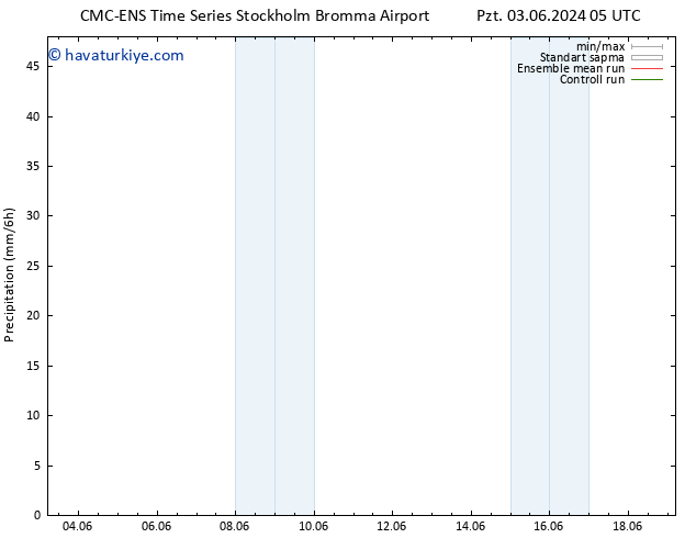 Yağış CMC TS Per 13.06.2024 05 UTC