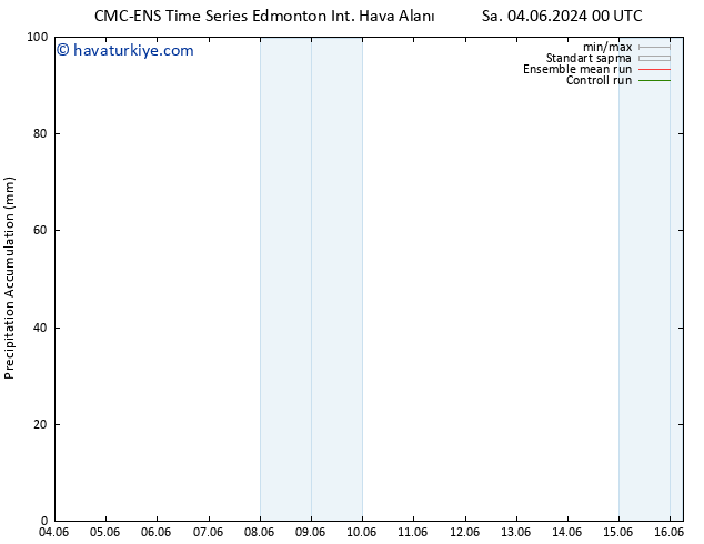 Toplam Yağış CMC TS Pzt 10.06.2024 00 UTC