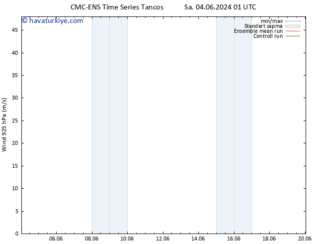 Rüzgar 925 hPa CMC TS Paz 09.06.2024 13 UTC