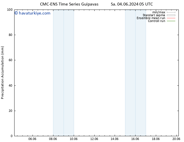 Toplam Yağış CMC TS Cts 08.06.2024 17 UTC