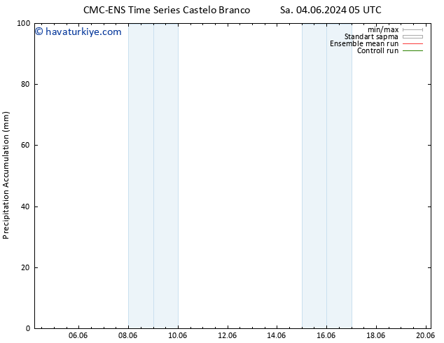 Toplam Yağış CMC TS Sa 04.06.2024 05 UTC