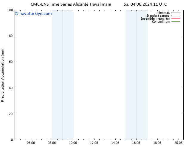 Toplam Yağış CMC TS Çar 12.06.2024 05 UTC