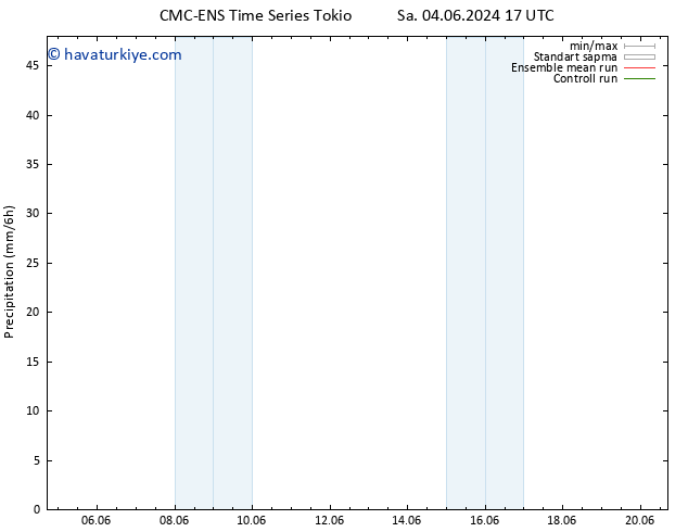 Yağış CMC TS Cts 08.06.2024 05 UTC