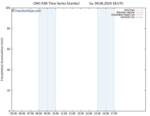 Toplam Yağış CMC TS Sa 11.06.2024 12 UTC