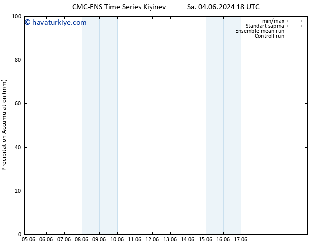 Toplam Yağış CMC TS Çar 12.06.2024 12 UTC