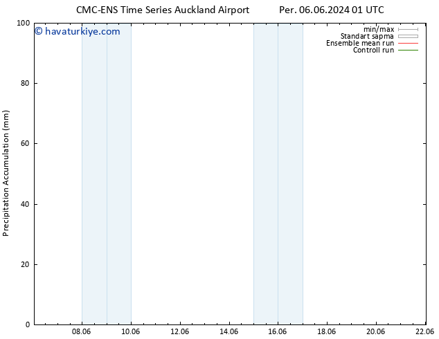 Toplam Yağış CMC TS Çar 12.06.2024 01 UTC