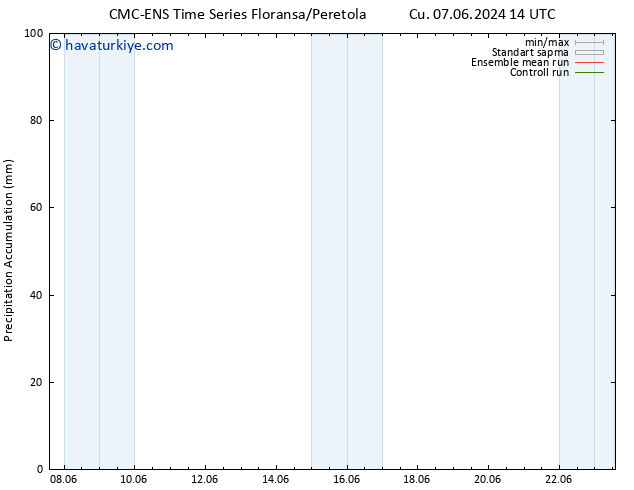 Toplam Yağış CMC TS Sa 11.06.2024 14 UTC