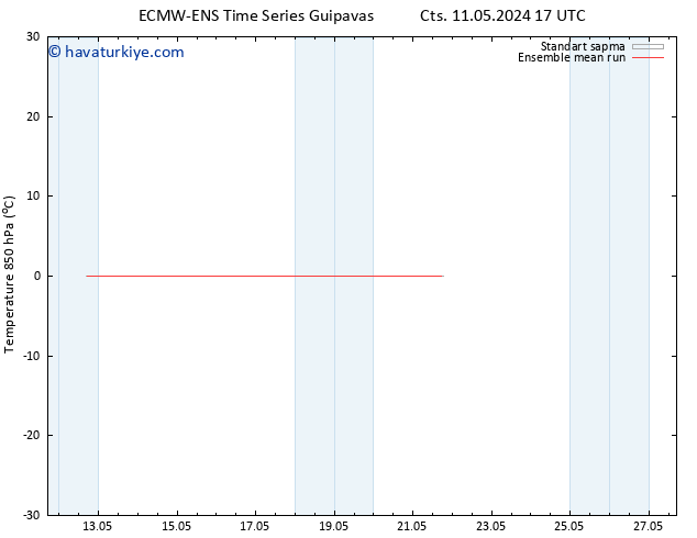 850 hPa Sıc. ECMWFTS Pzt 13.05.2024 17 UTC