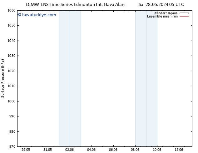 Yer basıncı ECMWFTS Sa 04.06.2024 05 UTC