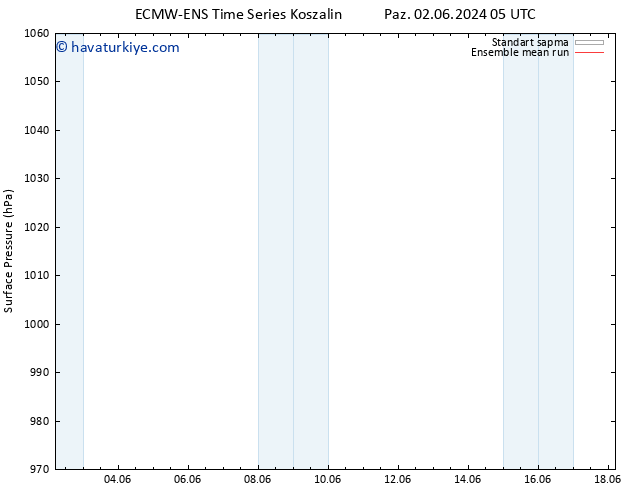 Yer basıncı ECMWFTS Pzt 03.06.2024 05 UTC