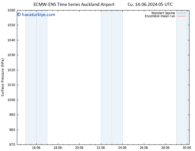 Yer basıncı ECMWFTS Pzt 17.06.2024 05 UTC