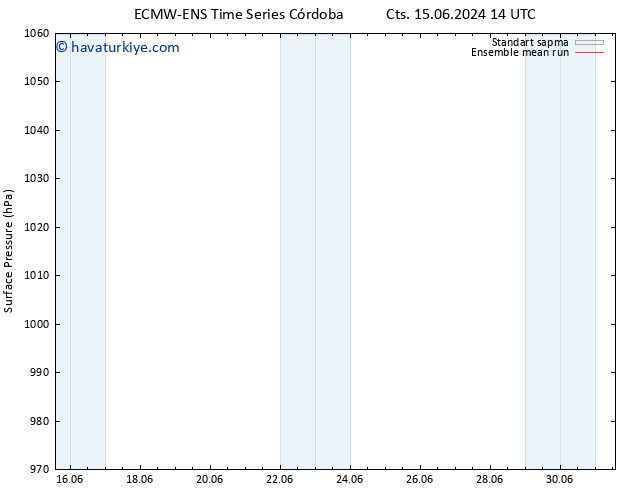 Yer basıncı ECMWFTS Pzt 24.06.2024 14 UTC