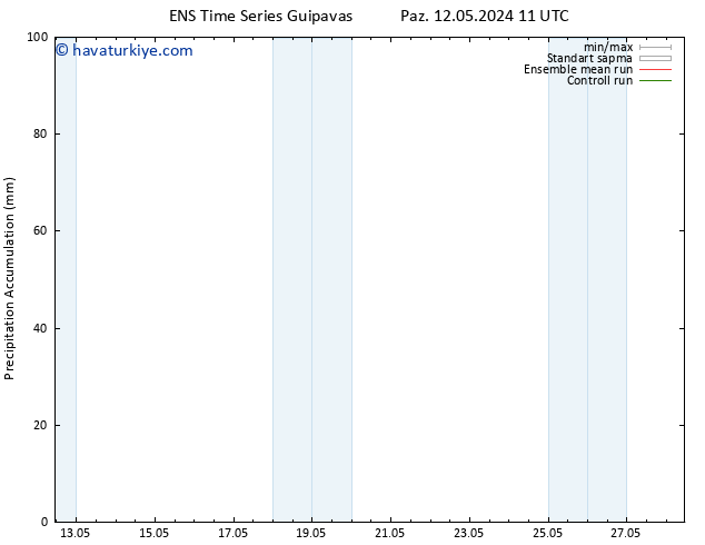 Toplam Yağış GEFS TS Pzt 13.05.2024 11 UTC
