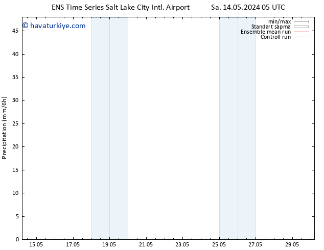 Yağış GEFS TS Cu 24.05.2024 05 UTC
