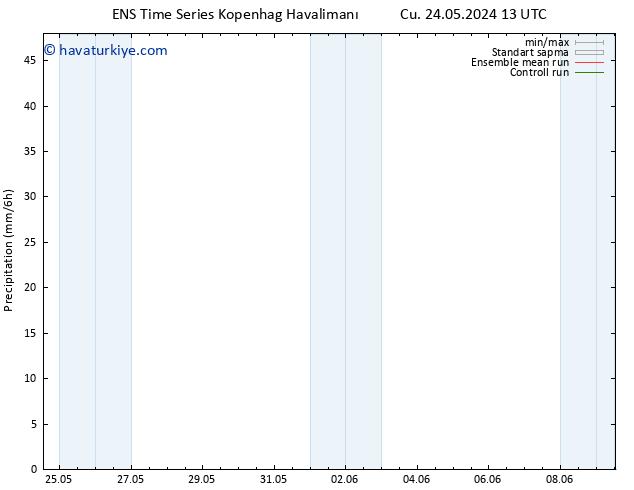 Yağış GEFS TS Pzt 03.06.2024 13 UTC