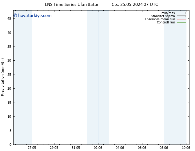 Yağış GEFS TS Pzt 10.06.2024 07 UTC