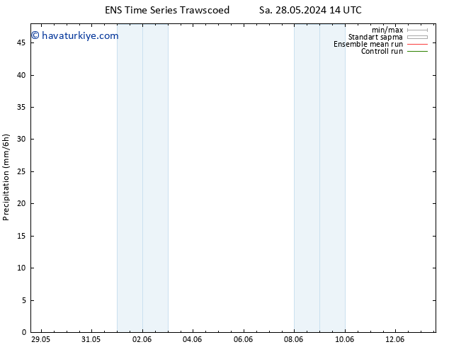 Yağış GEFS TS Per 13.06.2024 14 UTC