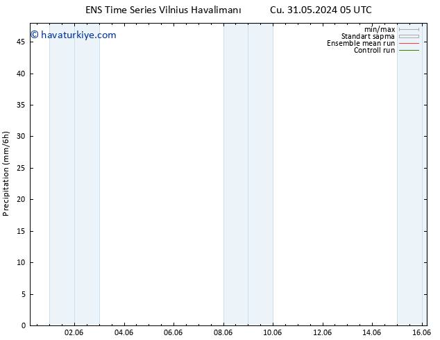 Yağış GEFS TS Pzt 10.06.2024 05 UTC