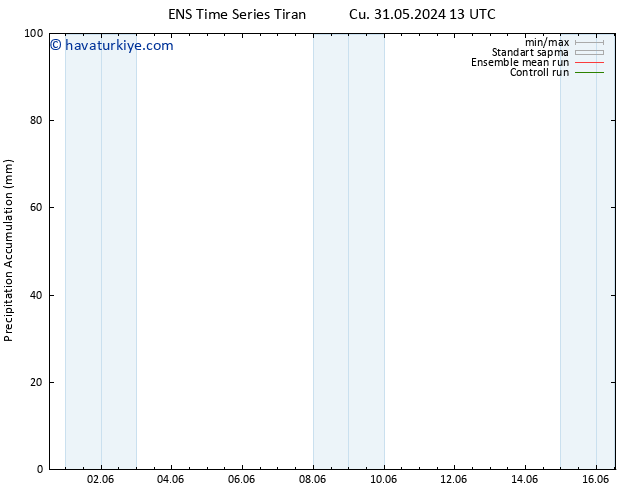 Toplam Yağış GEFS TS Cu 31.05.2024 19 UTC