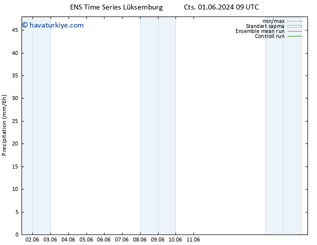 Yağış GEFS TS Cts 01.06.2024 15 UTC