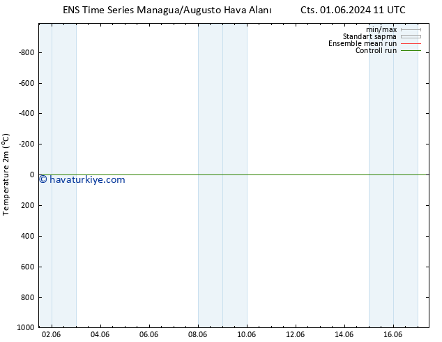 Sıcaklık Haritası (2m) GEFS TS Pzt 17.06.2024 11 UTC