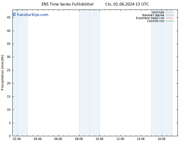 Yağış GEFS TS Pzt 10.06.2024 01 UTC