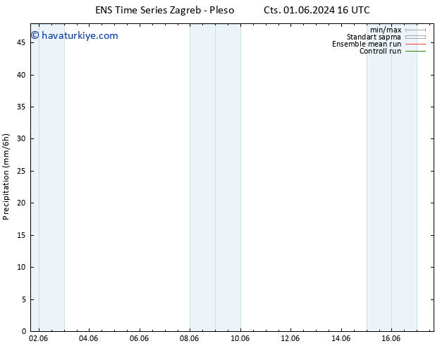 Yağış GEFS TS Pzt 10.06.2024 16 UTC