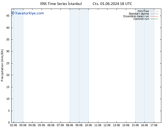 Yağış GEFS TS Pzt 10.06.2024 06 UTC