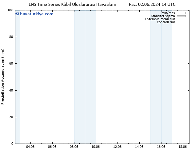 Toplam Yağış GEFS TS Çar 12.06.2024 14 UTC