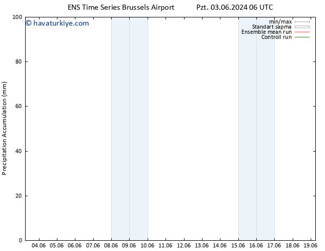 Toplam Yağış GEFS TS Sa 04.06.2024 06 UTC