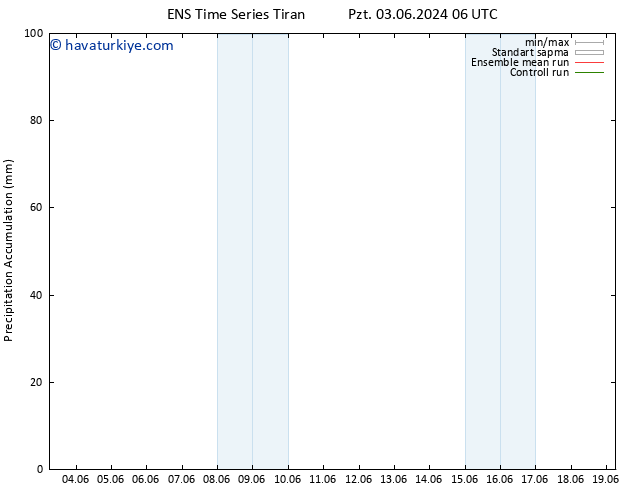 Toplam Yağış GEFS TS Pzt 03.06.2024 18 UTC